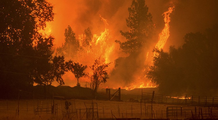 Flames from the Butte fire rise over a pasture in Mountain Ranch, California September 11, 2015. Evacuation orders were expanded to thousands of homes in northern California's Sierras on Friday as the rapidly spreading wildfire roared for a third day through drought-parched timber and brush, threatening mountain communities.  REUTERS/Noah Berger      TPX IMAGES OF THE DAY      - RTSQBE